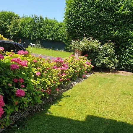 D'anciennes 