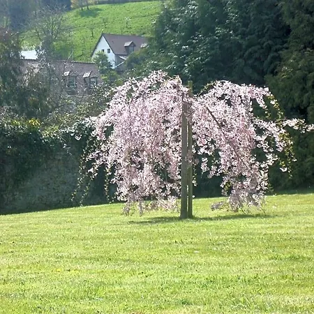 Bed and Breakfast D'anciennes 