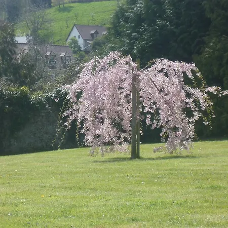 D'anciennes 