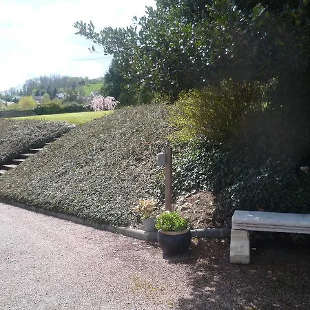 D'anciennes 